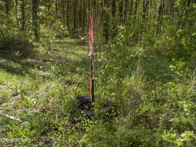 $255,150 | Steve Brown Road, Bean Station, TN 37708