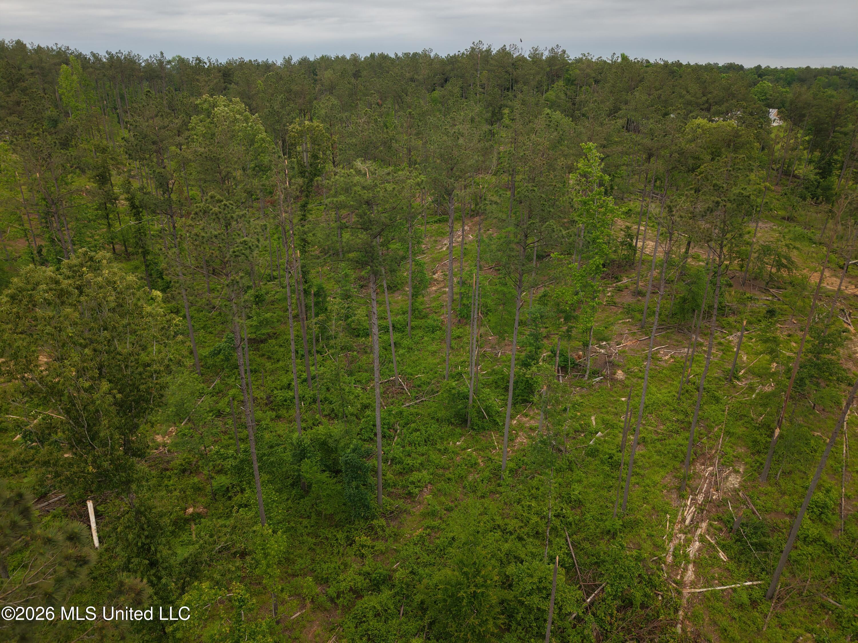 Graysport Crossing Road Gore Springs, MS 38929 - Photo 14 of 16 dji_fly_20260505_112930_0206_17797570144