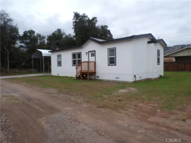 a view of a yard with potted plants and large trees