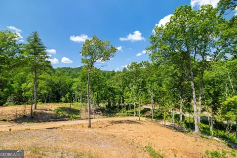 $1,795,000 | 265 Park Glen Lane, Mineral Bluff, GA 30559
