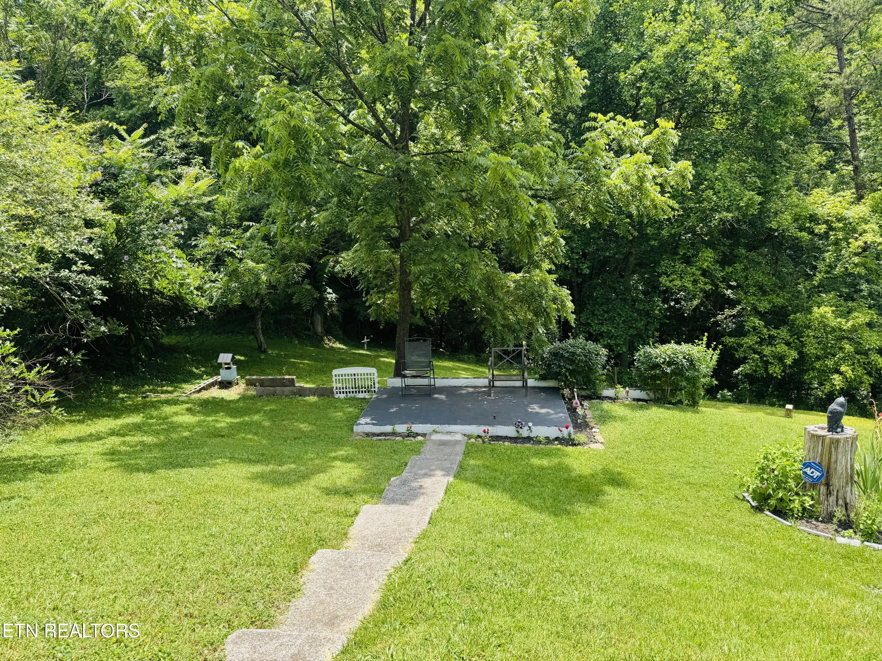 681 Island Cove Road Rocky Top, TN 37769 - Photo 36 of 47 IMG_5632