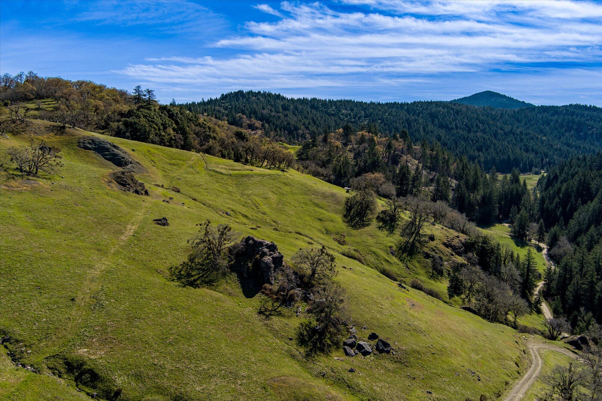 1960 Burr Valley Road Bridgeville, CA 95526 - Photo 53 of 63