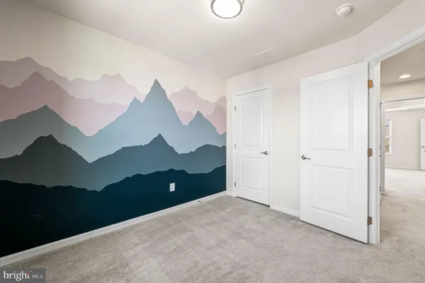 a view of a big room with closet and windows