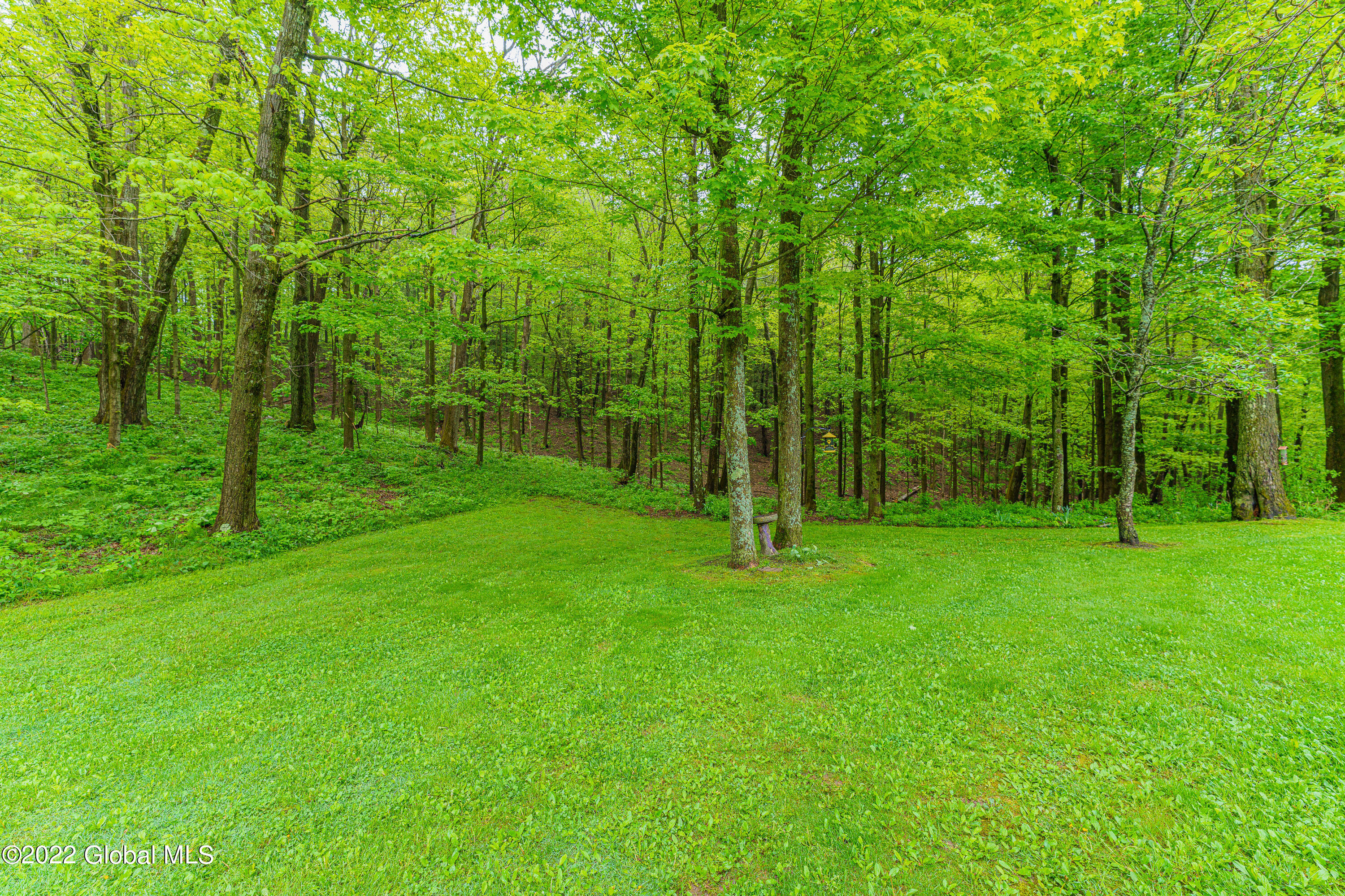 568 Rector Road Glenville, NY 12302 - Photo 48 of 63 Yard 1