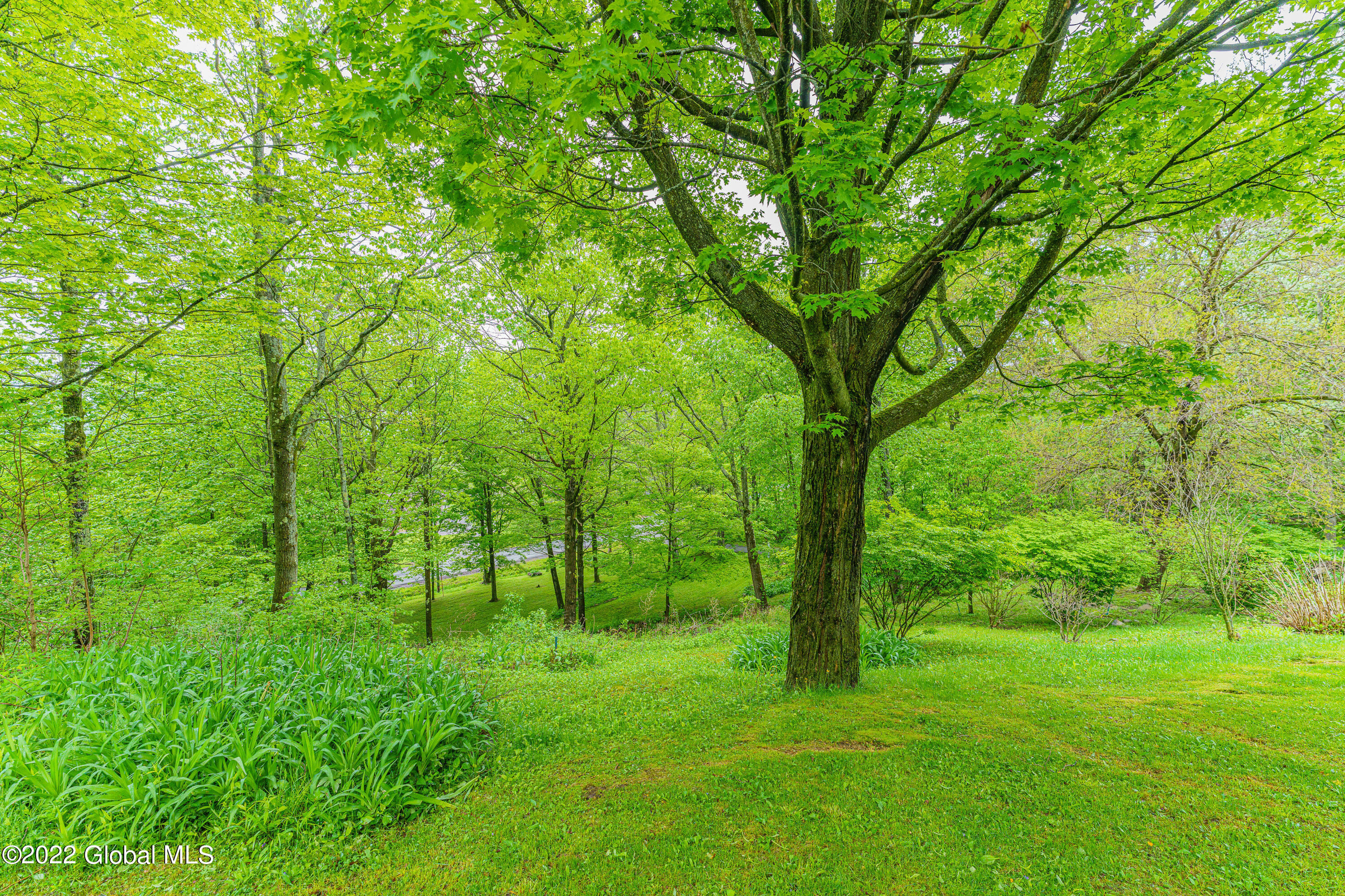 568 Rector Road Glenville, NY 12302 - Photo 57 of 63 Yard 15