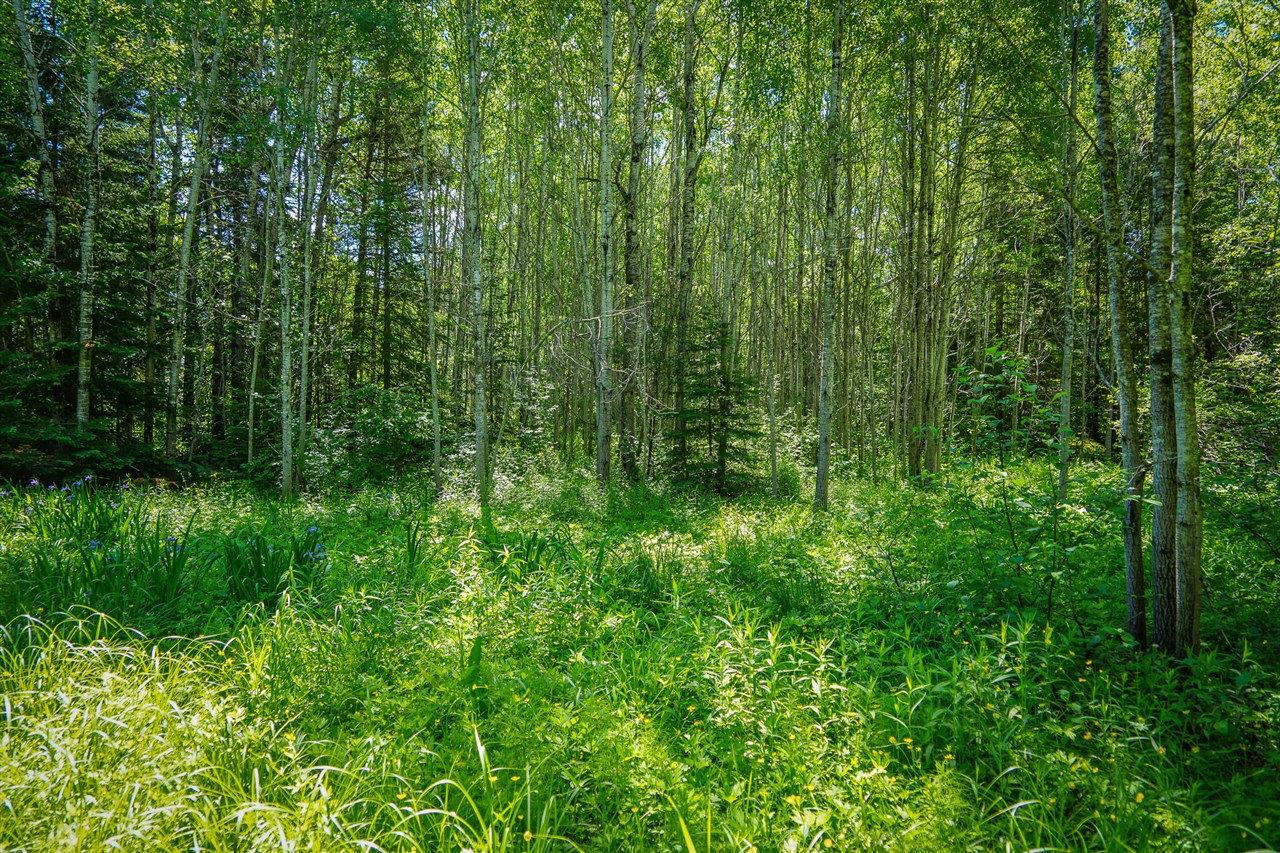 South North Hulbert Road Eckerman, MI 49728 - Photo 21 of 29