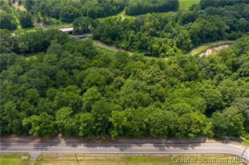 0 Rigmaiden Cemetery Road Dequincy, LA 70633 - Photo 2 of 6