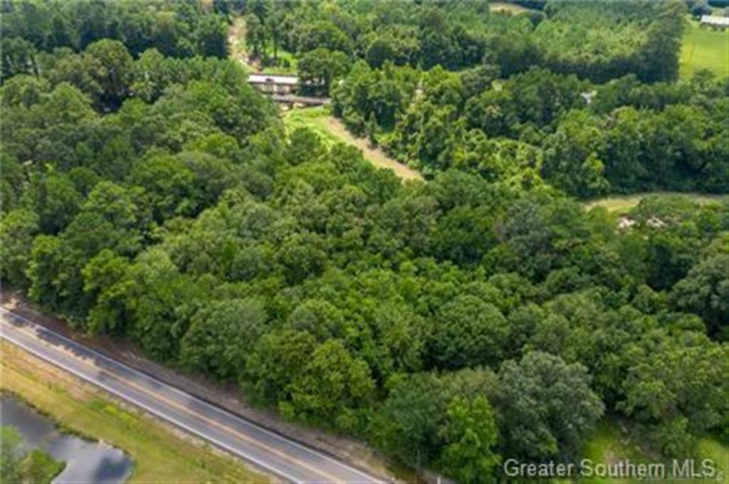 0 Rigmaiden Cemetery Road Dequincy, LA 70633 - Photo 3 of 6