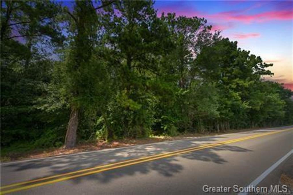 0 Rigmaiden Cemetery Road Dequincy, LA 70633 - Photo 4 of 6
