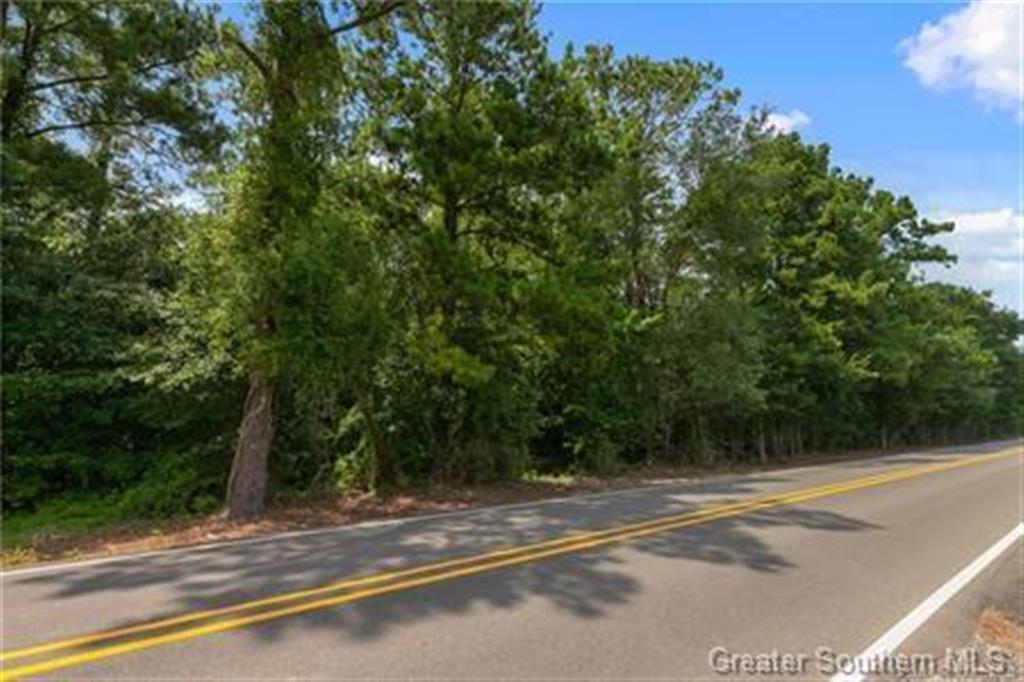 0 Rigmaiden Cemetery Road Dequincy, LA 70633 - Photo 6 of 6