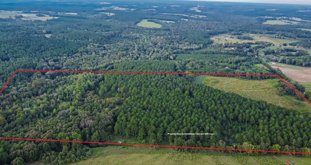 0 Double Creek Road Coffee Springs, AL 36318 - Photo 21 of 24