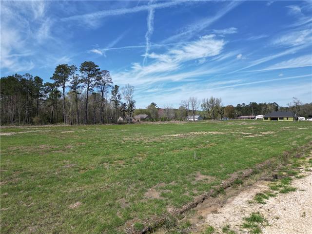Lot A-3 Billy Joe Road Independence, LA 70443 - Photo 5 of 6
