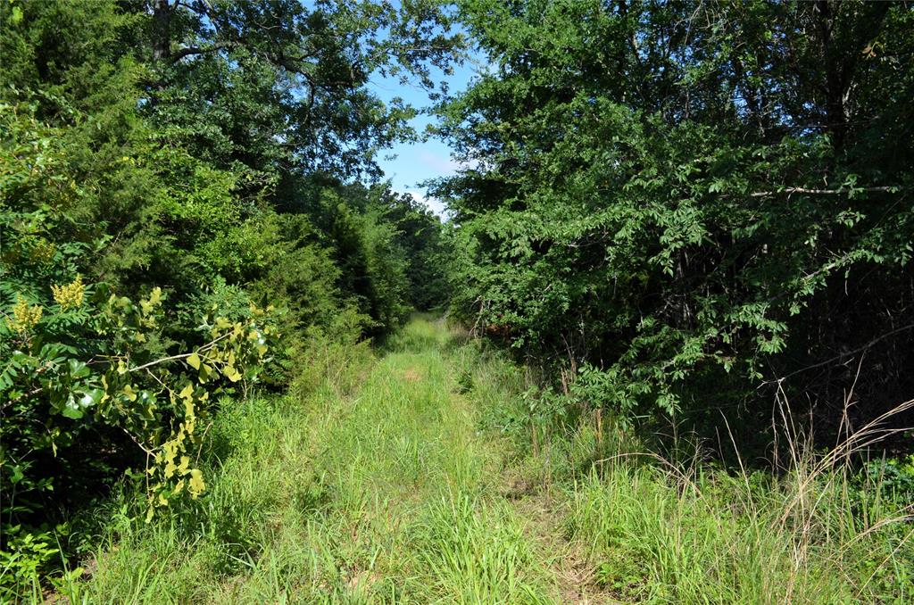760 County Road, Unit 2315 Eustace, TX 75124 - Photo 11 of 19 a view of a lush green space