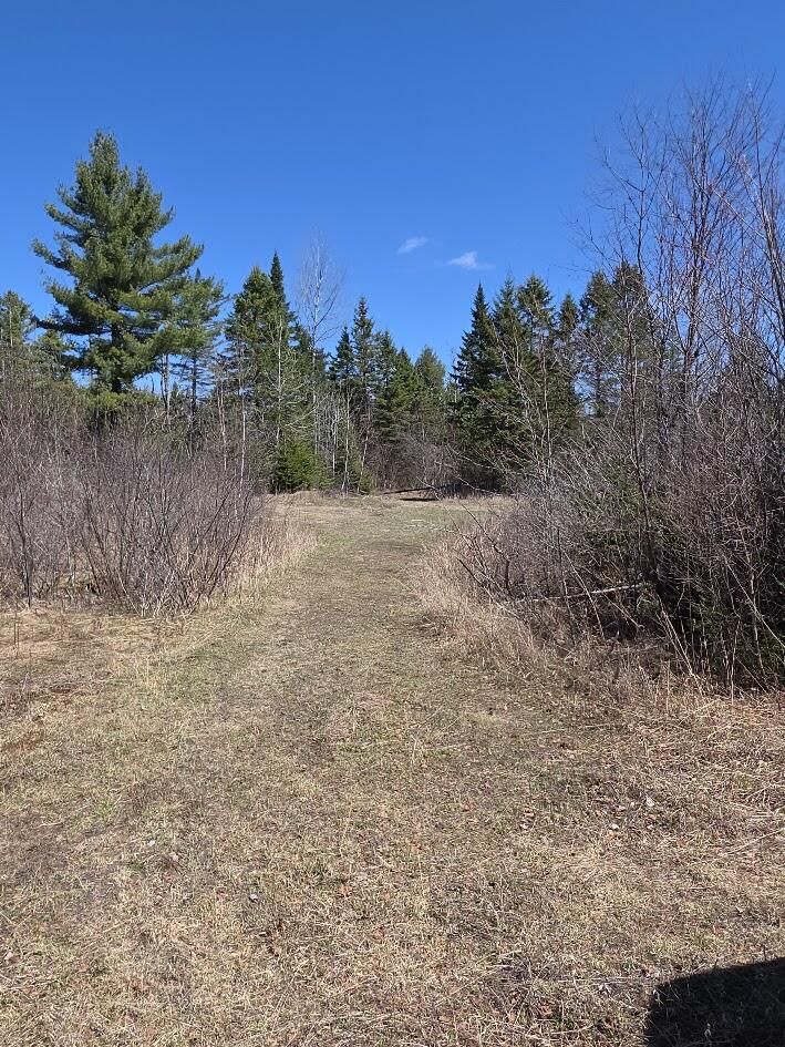 131 River Road Oakfield, ME 04763 - Photo 1 of 9 20260504_111411