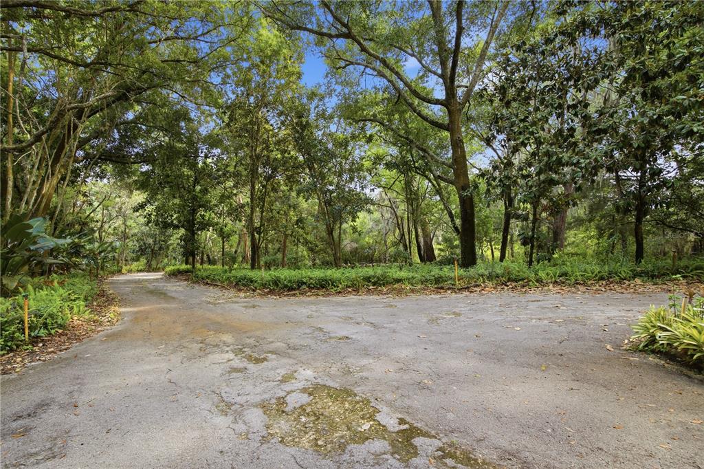 2271 Keystone Road Tarpon Springs, FL 34688 - Photo 8 of 50