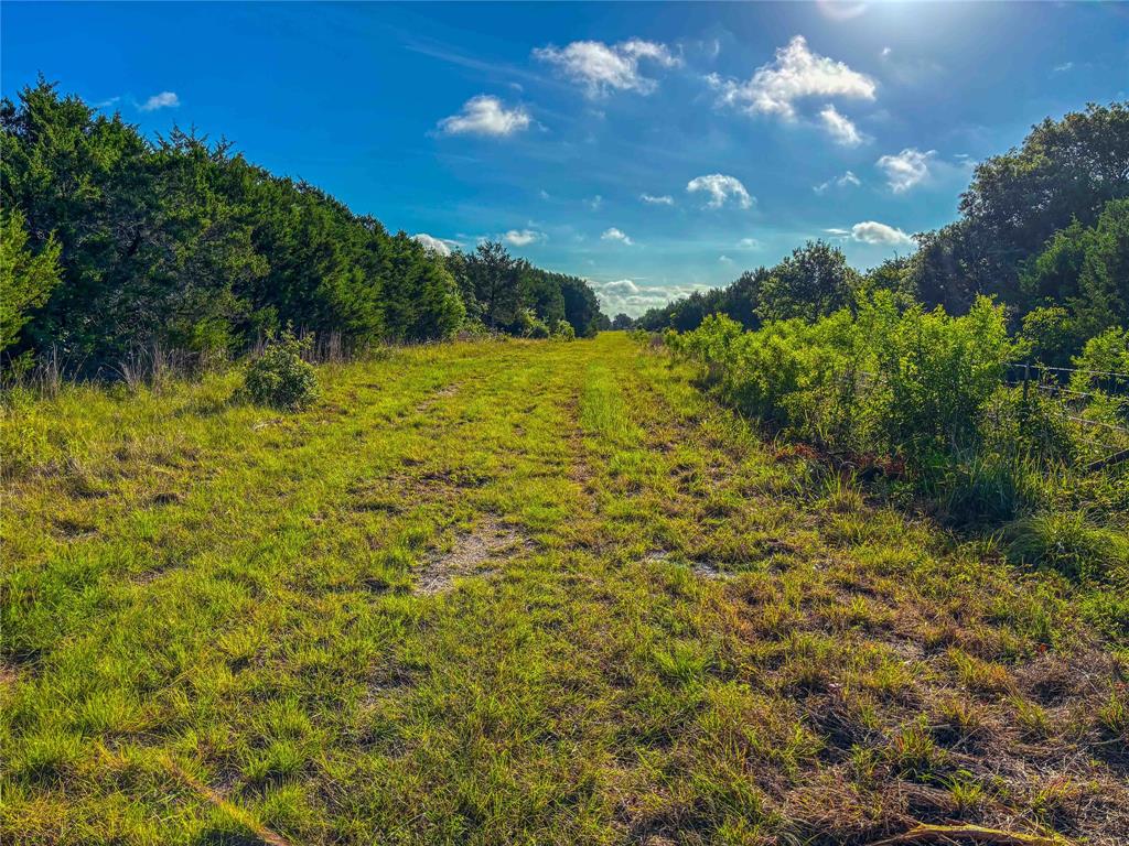 Unk Unk Private Road, Unit 2131 Iredell, TX 76649 - Photo 18 of 36 a view of a garden