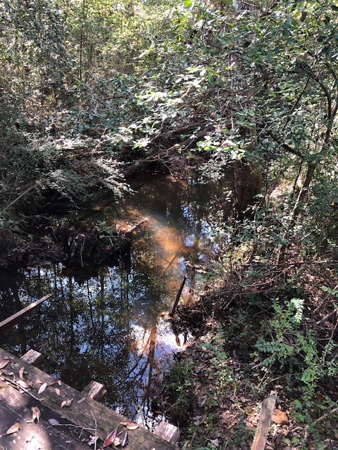 0 Highway 52 Slocomb, AL 36375 - Photo 8 of 12