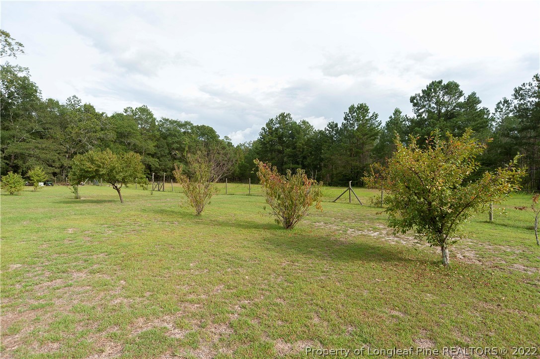 3726 Hayfield Road Wade, NC 28395 - Photo 23 of 50 a view of a park