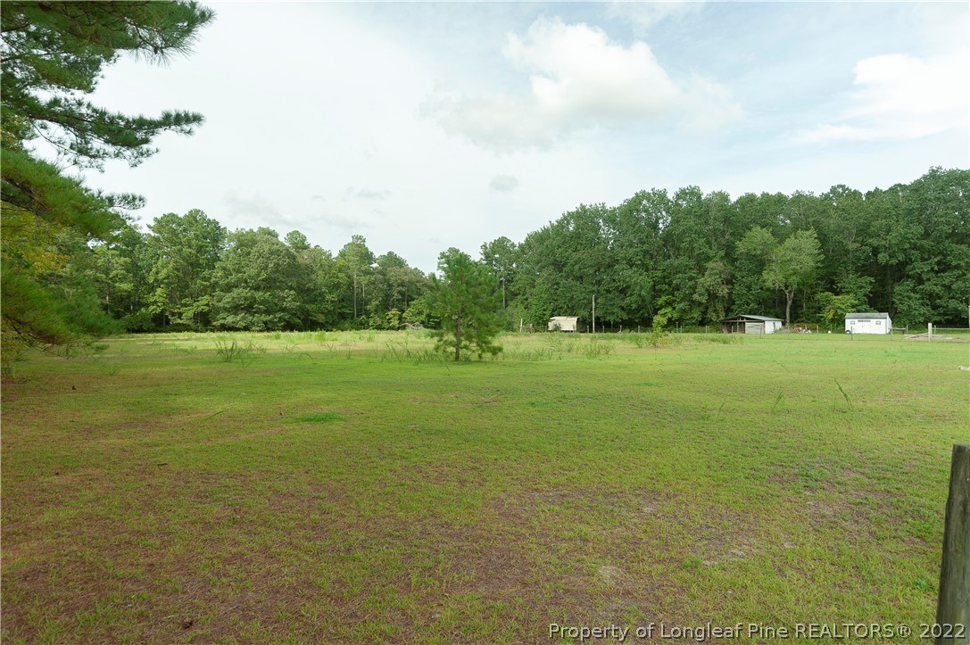 3726 Hayfield Road Wade, NC 28395 - Photo 34 of 50 a view of a green field with clear sky