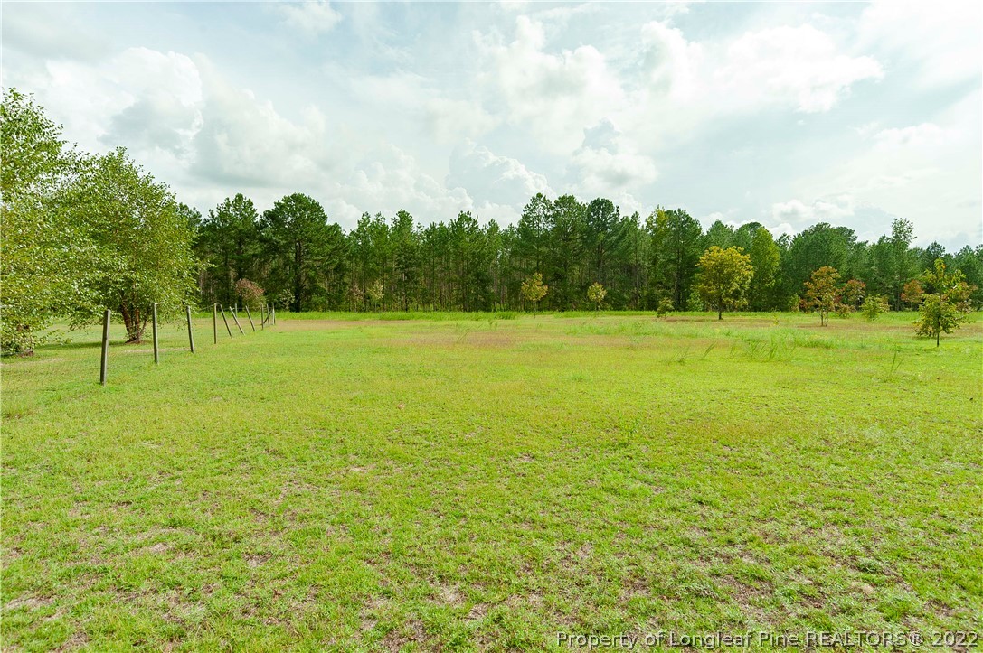 3726 Hayfield Road Wade, NC 28395 - Photo 44 of 50 a view of grassy field with trees