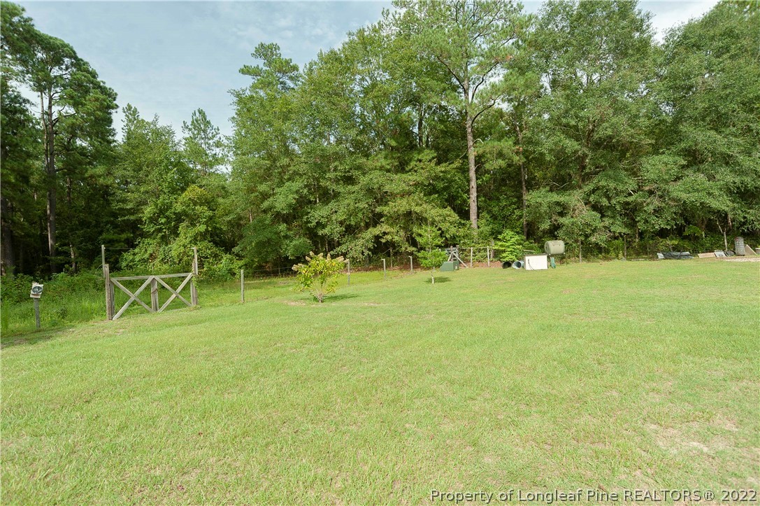 3726 Hayfield Road Wade, NC 28395 - Photo 46 of 50 a view of a park