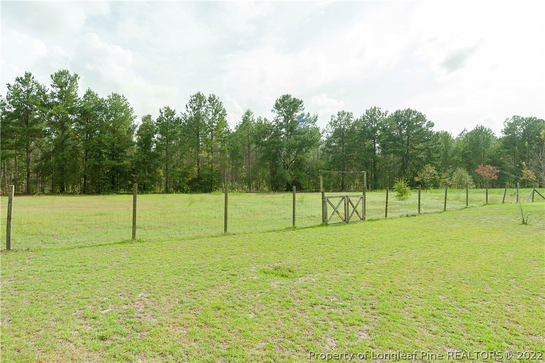3726 Hayfield Road Wade, NC 28395 - Photo 48 of 50 a view of a park with a trees