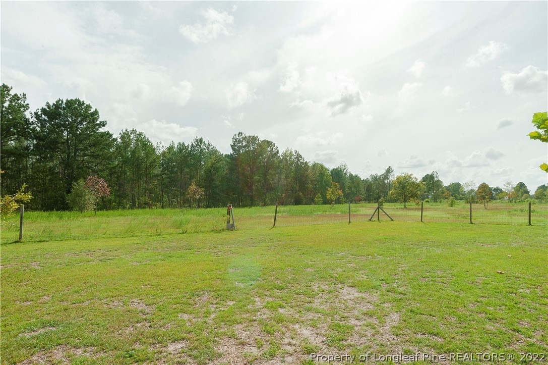 3726 Hayfield Road Wade, NC 28395 - Photo 50 of 50 a view of outdoor space with garden and trees