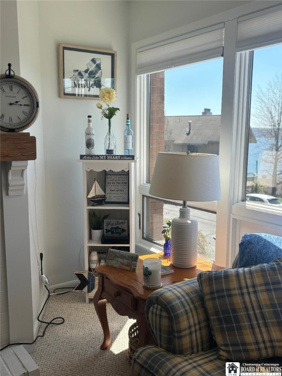 22 Mohawk Drive Chautauqua, NY 14728 - Photo 16 of 39