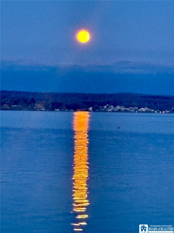 22 Mohawk Drive Chautauqua, NY 14728 - Photo 25 of 39