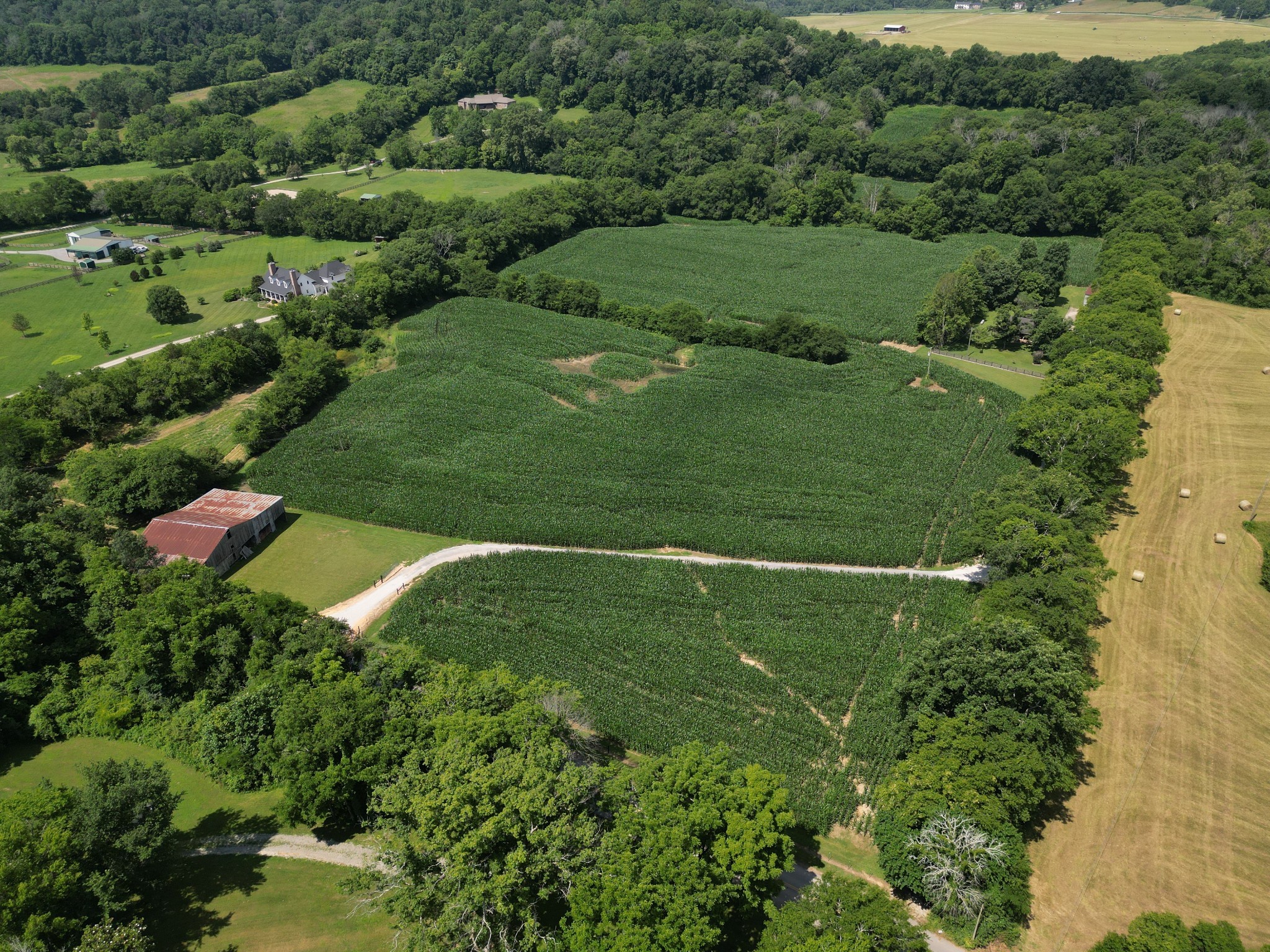 3349 Sweeney Hollow Road Franklin, TN 37064 - Photo 26 of 41 a view of a lush green forest