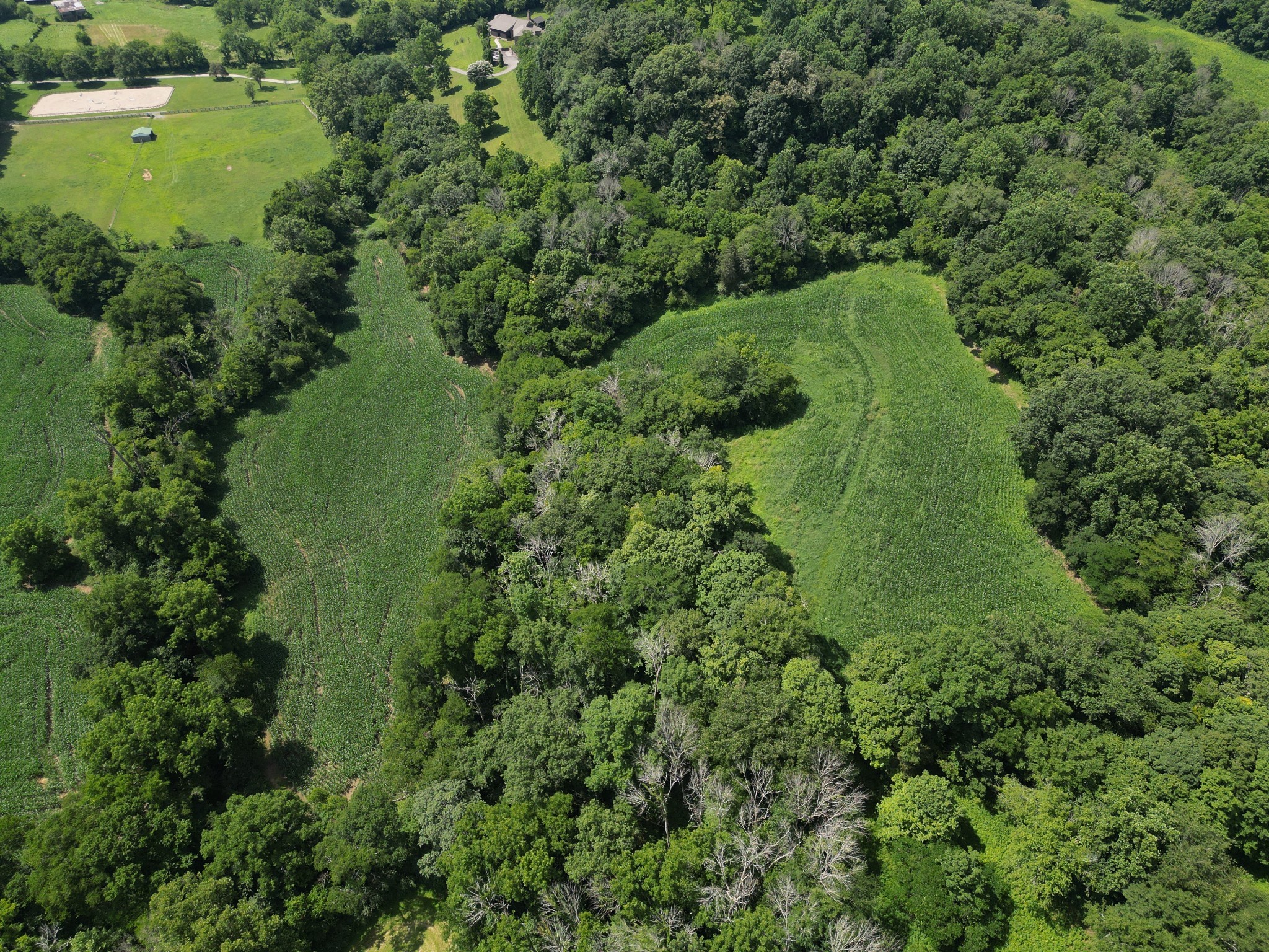 3349 Sweeney Hollow Road Franklin, TN 37064 - Photo 29 of 41 an aerial view of a houses with a lush green forest