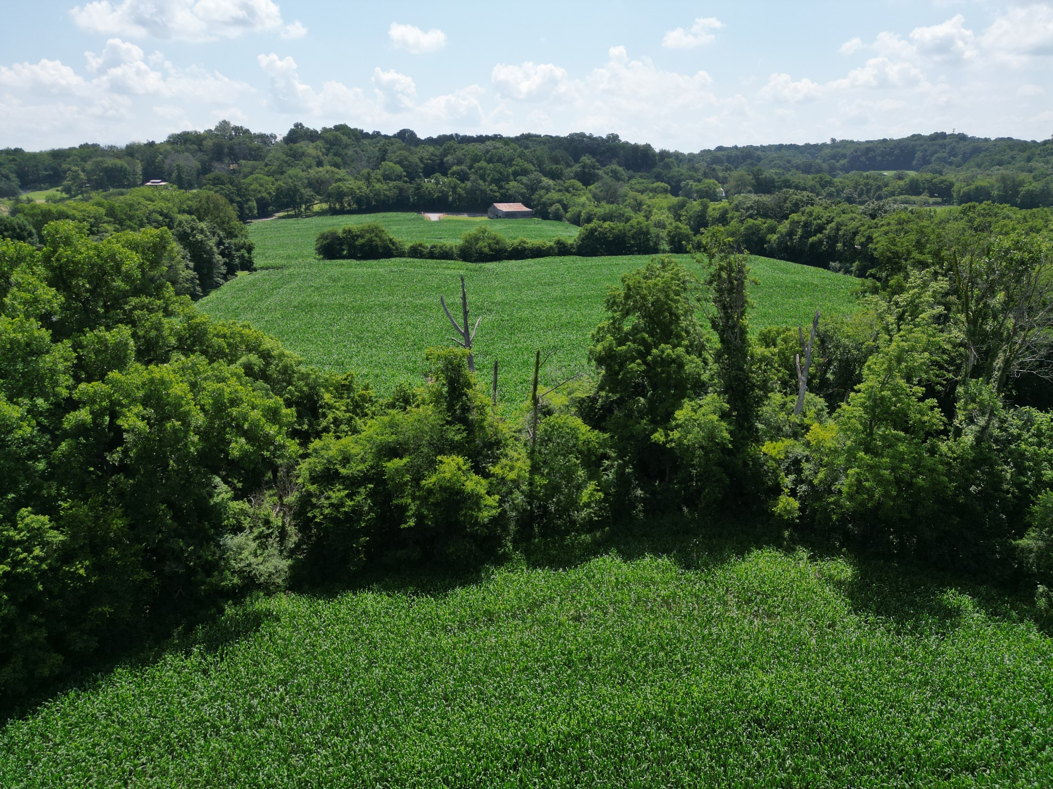 3349 Sweeney Hollow Road Franklin, TN 37064 - Photo 31 of 41 a view of outdoor space and yard