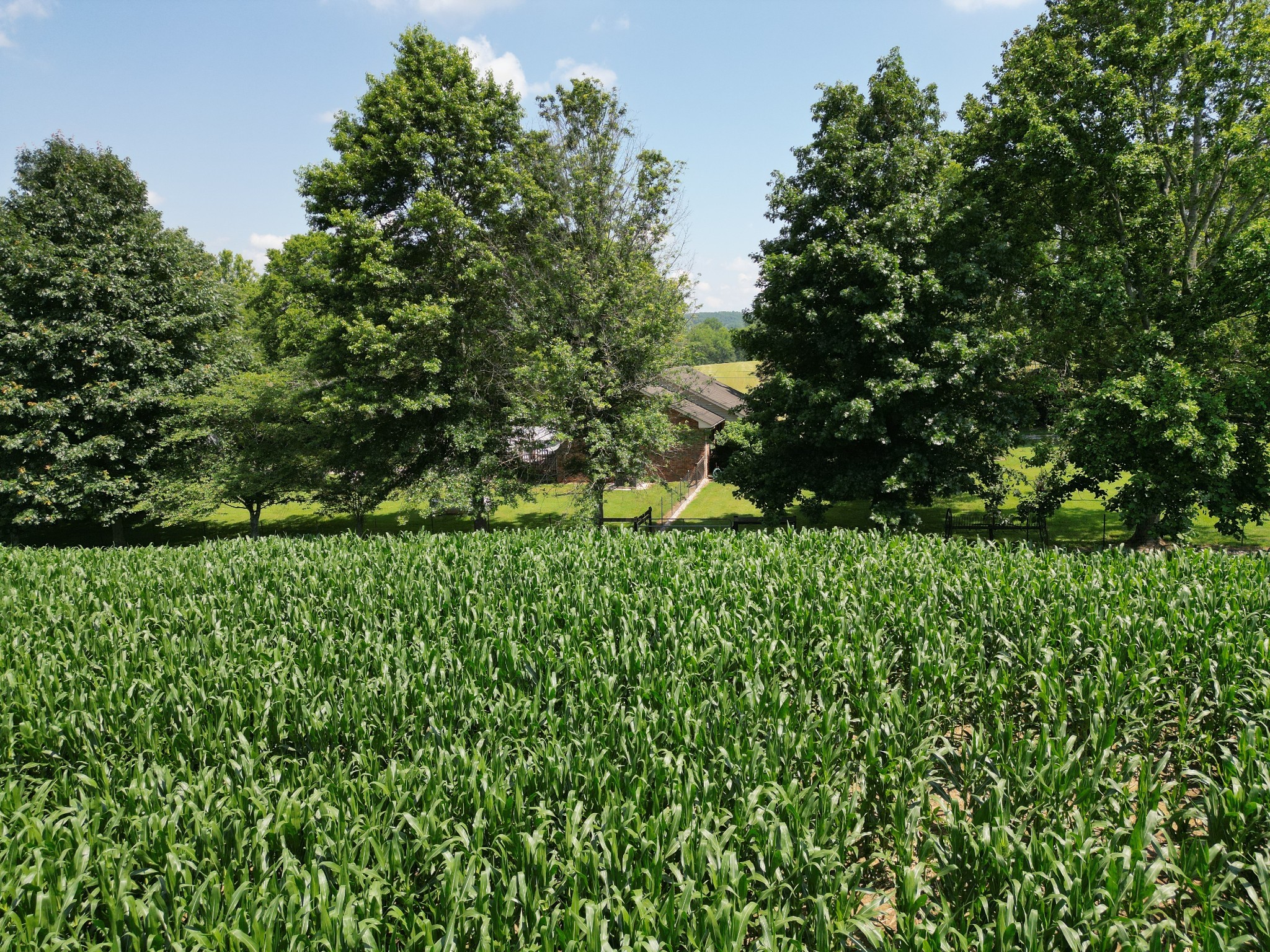 3349 Sweeney Hollow Road Franklin, TN 37064 - Photo 40 of 41 a view of a garden