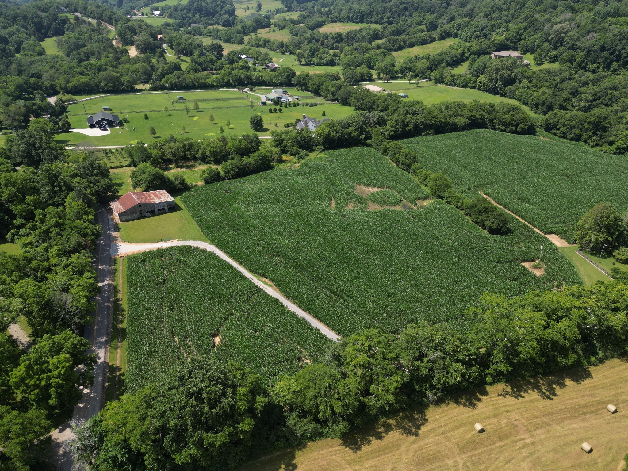 3349 Sweeney Hollow Road Franklin, TN 37064 - Photo 4 of 41 an aerial view of huge green field with lots of green plants