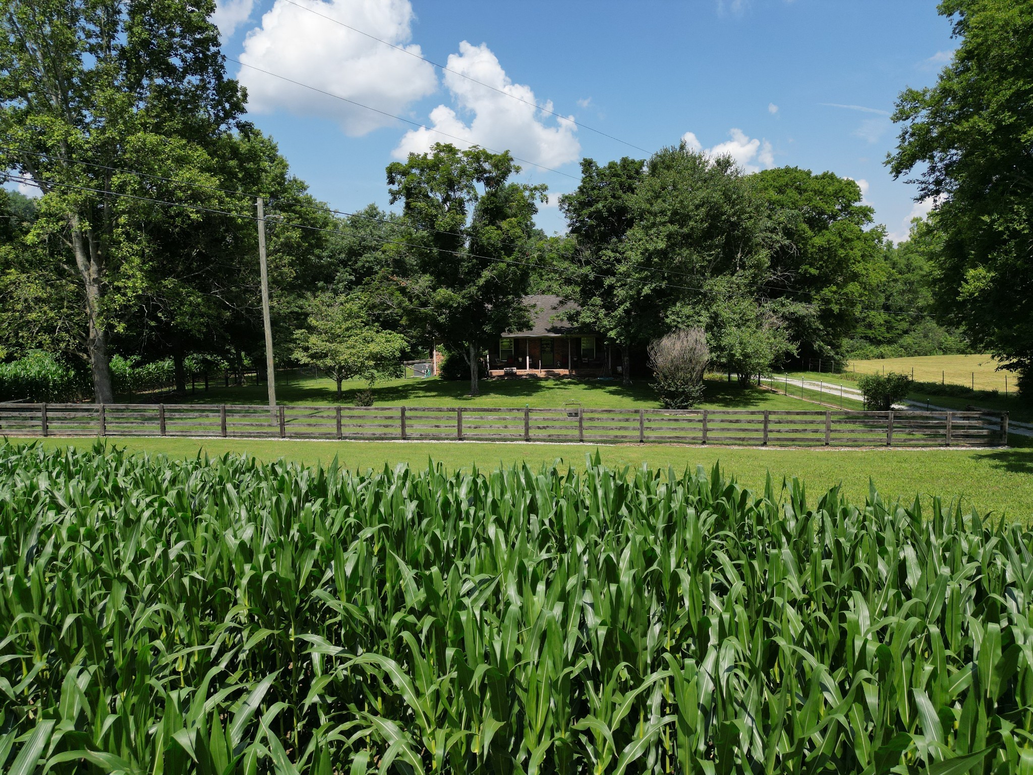 3349 Sweeney Hollow Road Franklin, TN 37064 - Photo 41 of 41 a view of a park