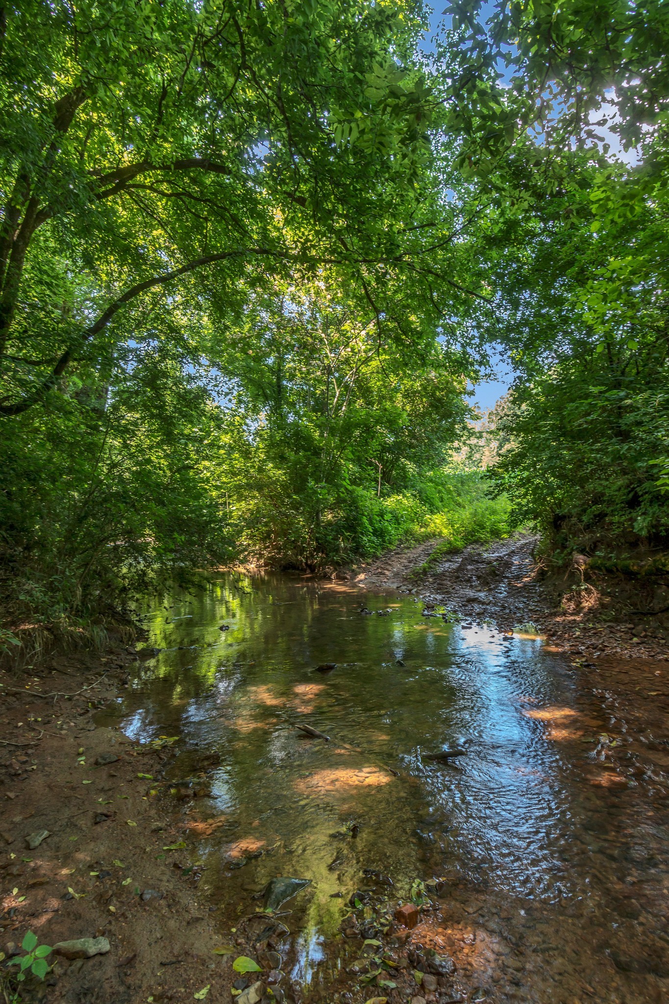 3349 Sweeney Hollow Road Franklin, TN 37064 - Photo 5 of 41