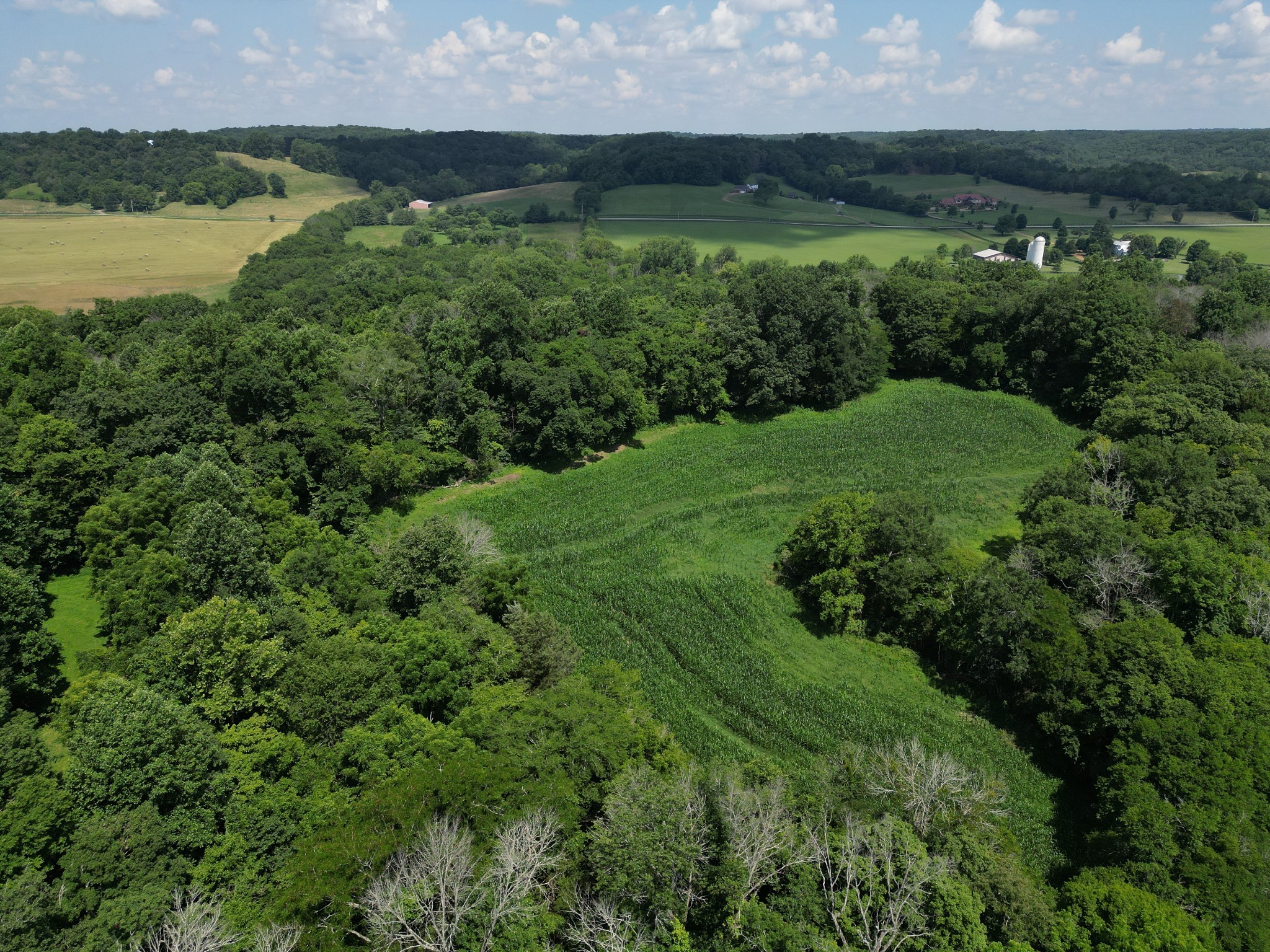 3349 Sweeney Hollow Road Franklin, TN 37064 - Photo 9 of 41 a view of a lush green forest with a lake