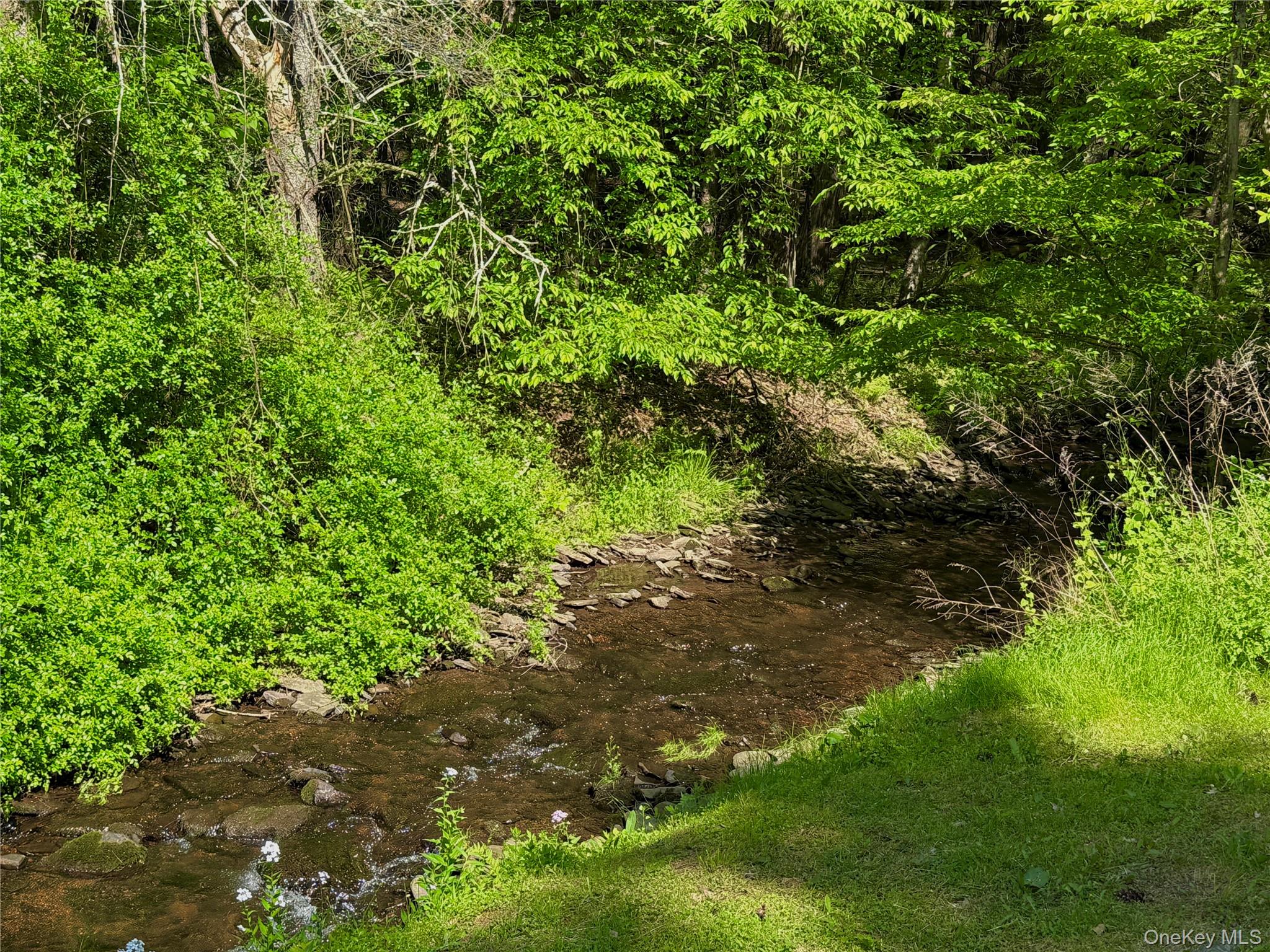 12 Mesmer Hill Road Callicoon, NY 12723 - Photo 18 of 18 a plant view in yard