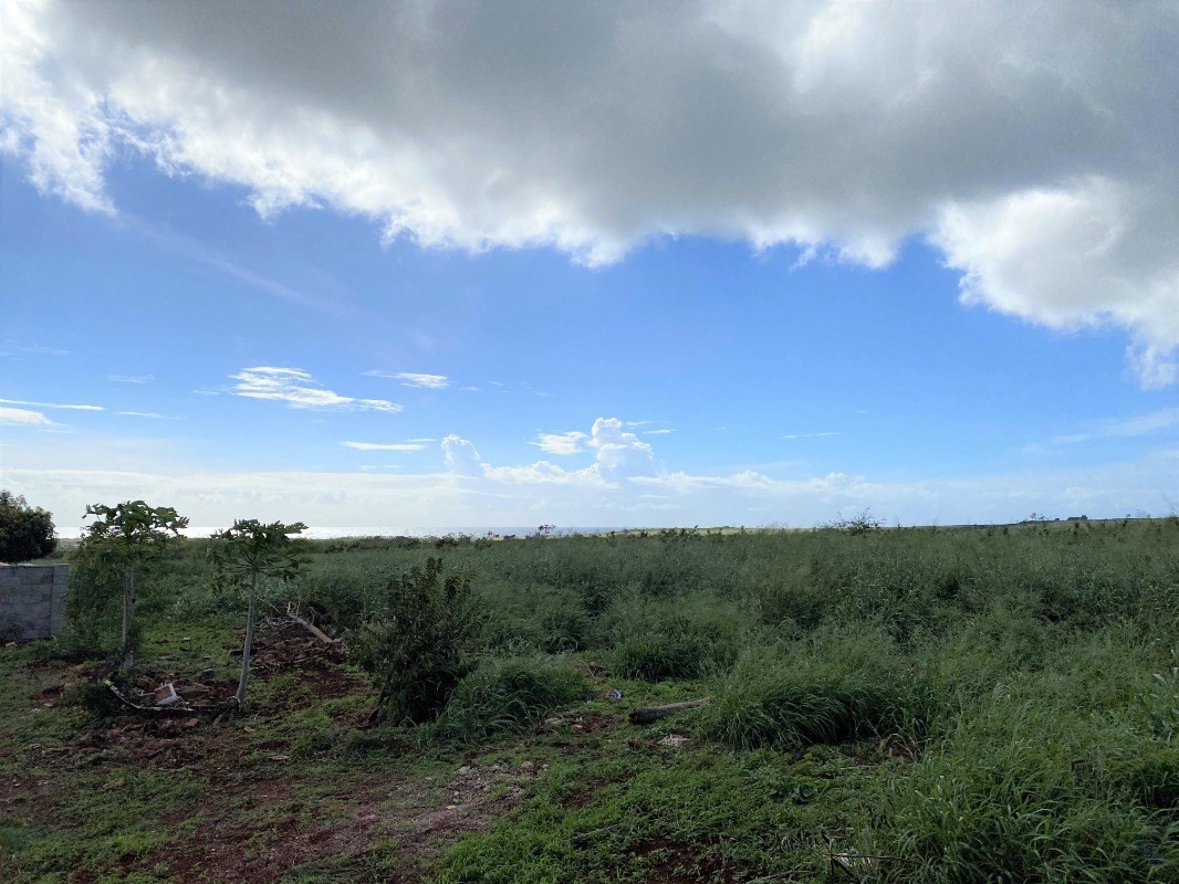 4825 Moi Road Hanapepe, HI 96716 - Photo 12 of 14 a view of a city
