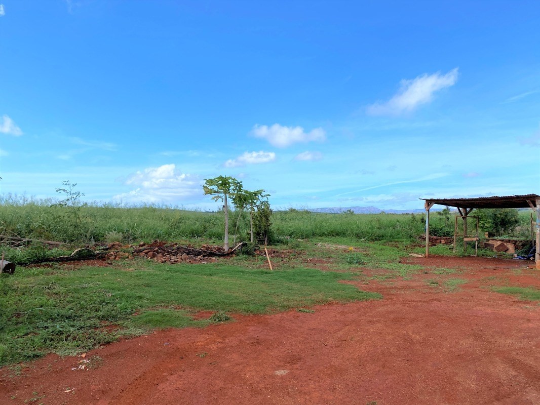 4825 Moi Road Hanapepe, HI 96716 - Photo 13 of 14 a view of a park