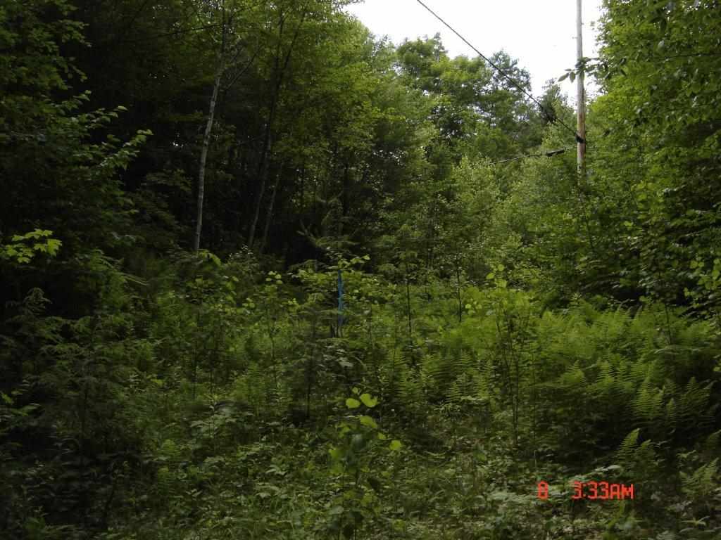 48 Rocky Ridge Road Killington, VT 05751 - Photo 1 of 2 Gallery Image 1