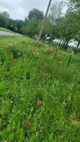 $1,190,000 | 4336 Carpenters Bluff Road, Denison, TX 75021