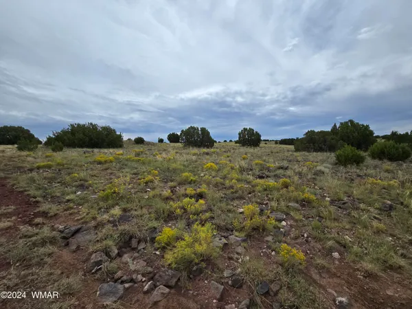 $11,750 | 5151 Concho Az 85924, Concho, AZ 85924