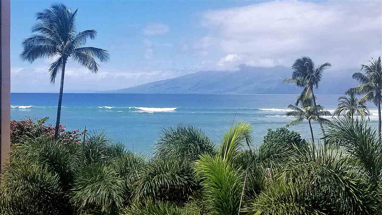 4299 Lower Honoapiilani Road, Unit 134 Lahaina, HI 96761 - Photo 1 of 29 a view of a palm tree with a yard