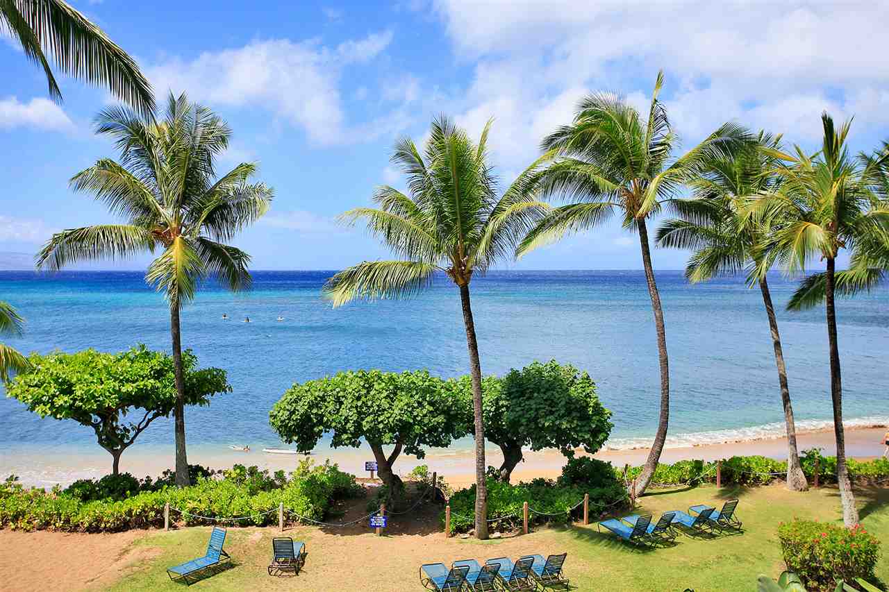 4299 Lower Honoapiilani Road, Unit 134 Lahaina, HI 96761 - Photo 27 of 29 a view of a garden with a palm tree