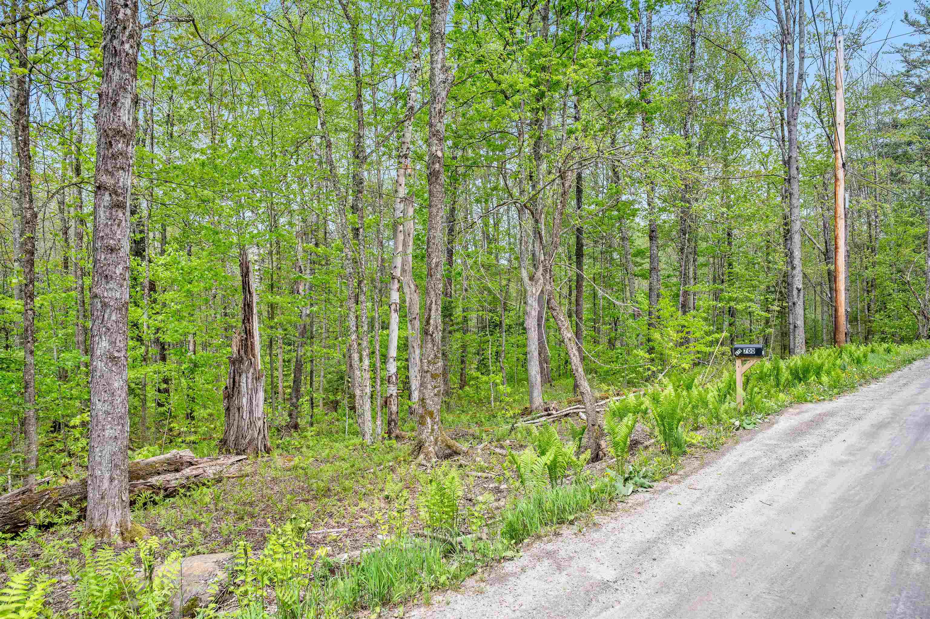 753 Scrabble Hill Road, Unit 2 Duxbury, VT 05676 - Photo 13 of 16 Gallery Image 13