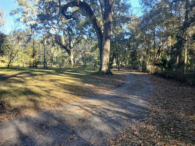 a view of a yard with a tree