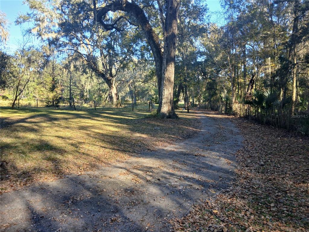 5497 West C Road Bushnell, FL 33513 - Photo 4 of 15 a view of a yard with a tree