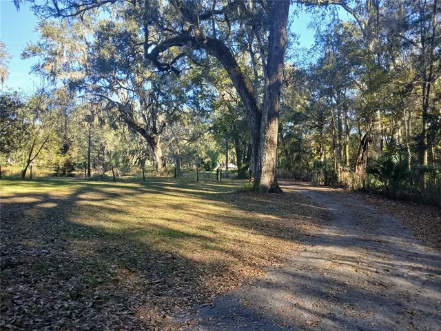 a view of road space with trees