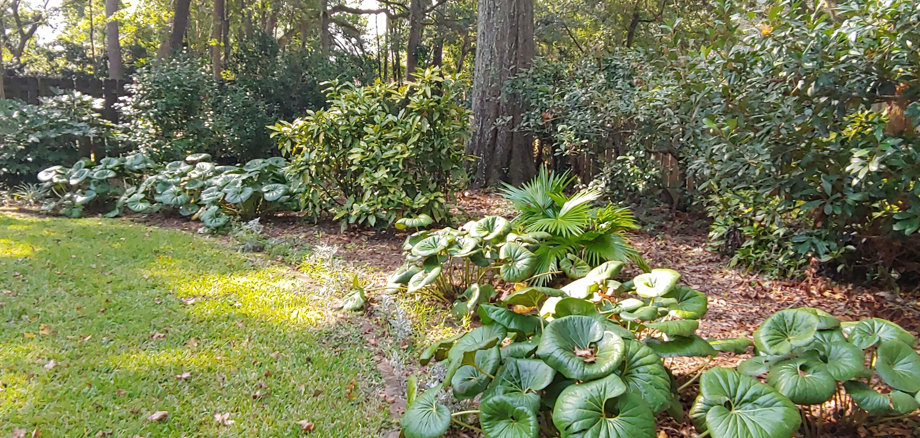 10 Battlesea Road Charleston, SC 29407 - Photo 14 of 23 Mature Landscaping